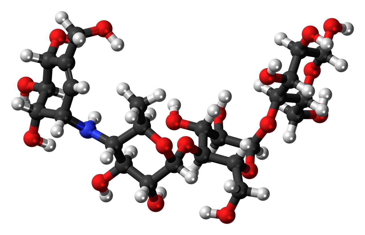 ADMET Analysis